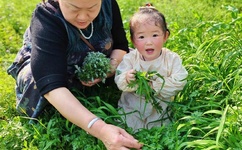 在英语课上用J插英语课代表